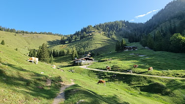 Almgelände auf dem Weg zur Mariandlalm.