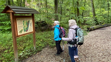 Infotafel in der Starzenbachschlucht