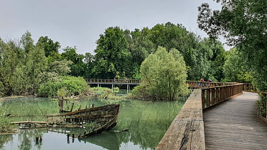 Radeln im Naturschutzgebiet bei Treviso