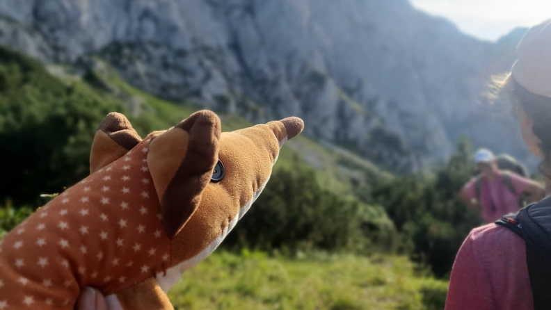 Fuchs Schmedgar auf dem Berg des heiligen Benedikt.