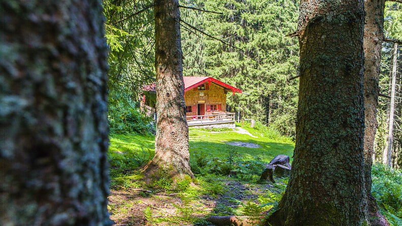 Versteckt zwischen den Bäumen lag die alte Hütte.