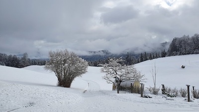 Winterimpressionen in der Nähe von Gschwandnerbauer