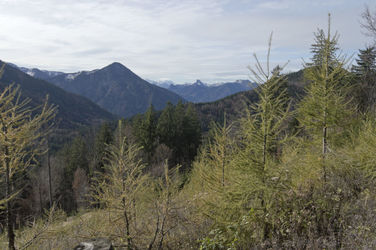 Ausblick vom Westerberg auf das Karwendel