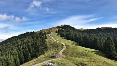 Auf dem Weg zum Hinteren Hörnle